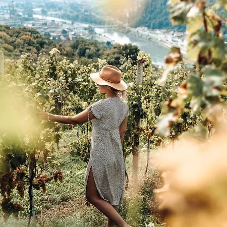 Tri Lucke & Restaurant Hotel *